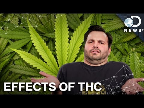 How THC Replaces Your Brain's Neurotransmitters